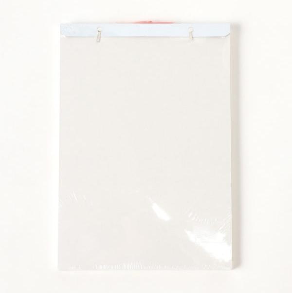 [BEAMS JAPAN] 56-74-0244-462 NEW JAPAN CALENDAR / DAILY CALENDAR 2025 LARGE